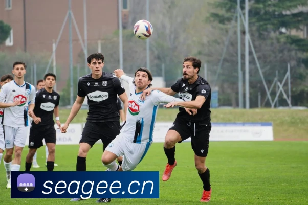 欧宝appAPP 封面图